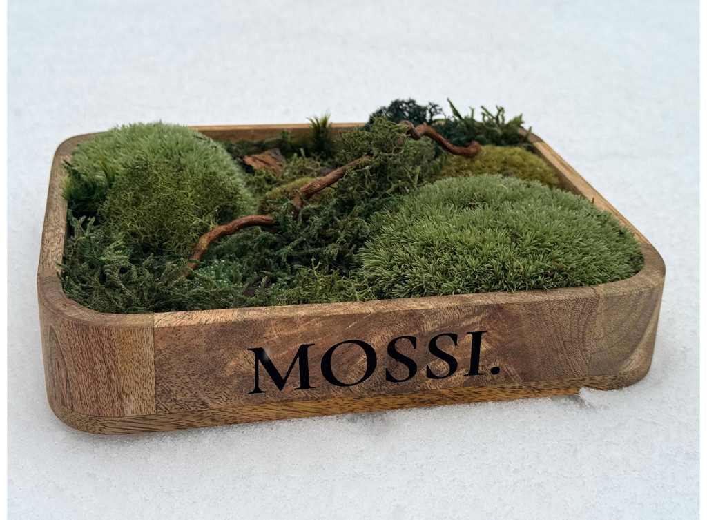 Mossi™ Pocket Forest – Limitovaná Mini Lesní Scéna