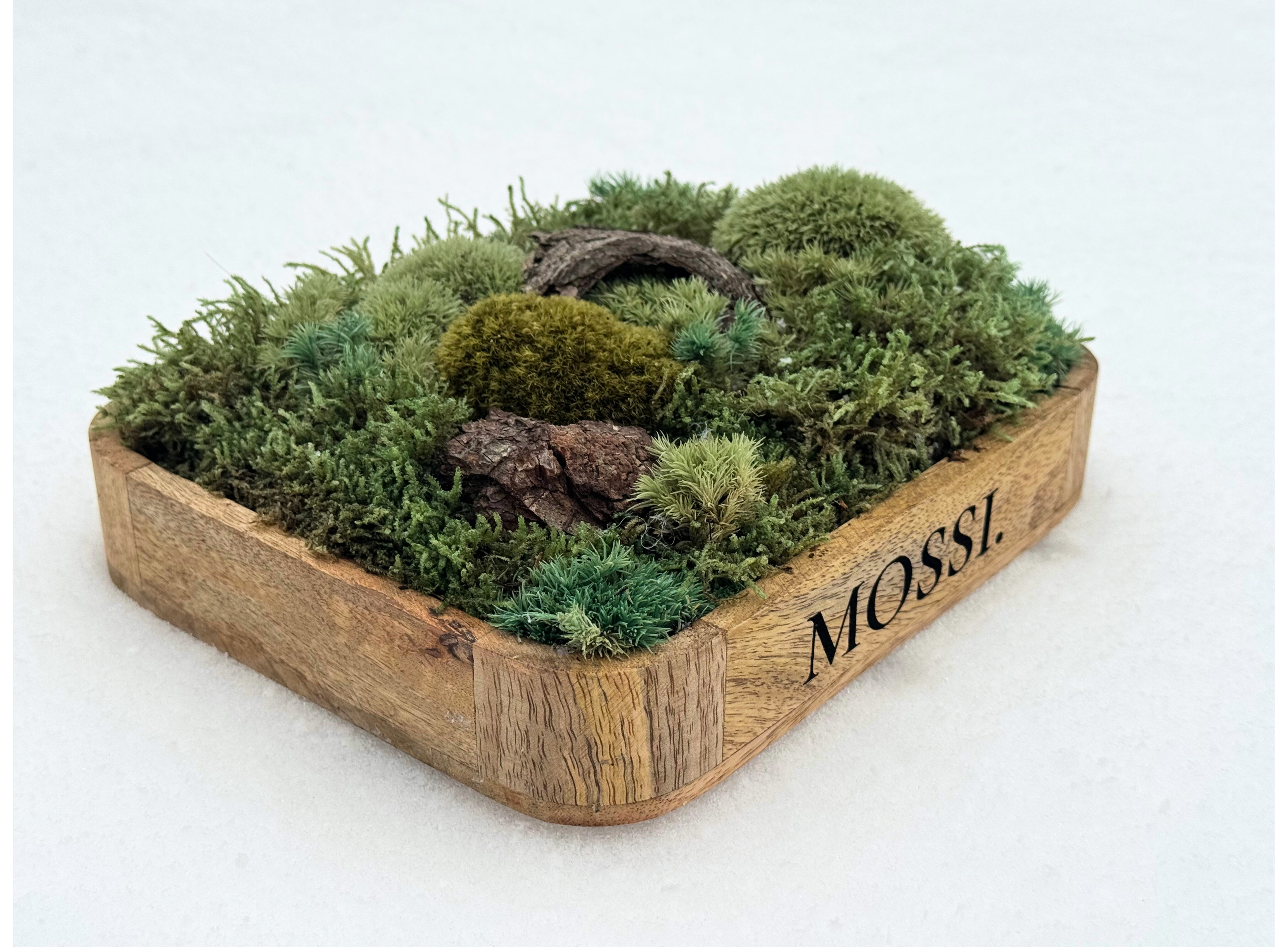 Mossi™ Pocket Forest – Limitovaná Mini Lesní Scéna
