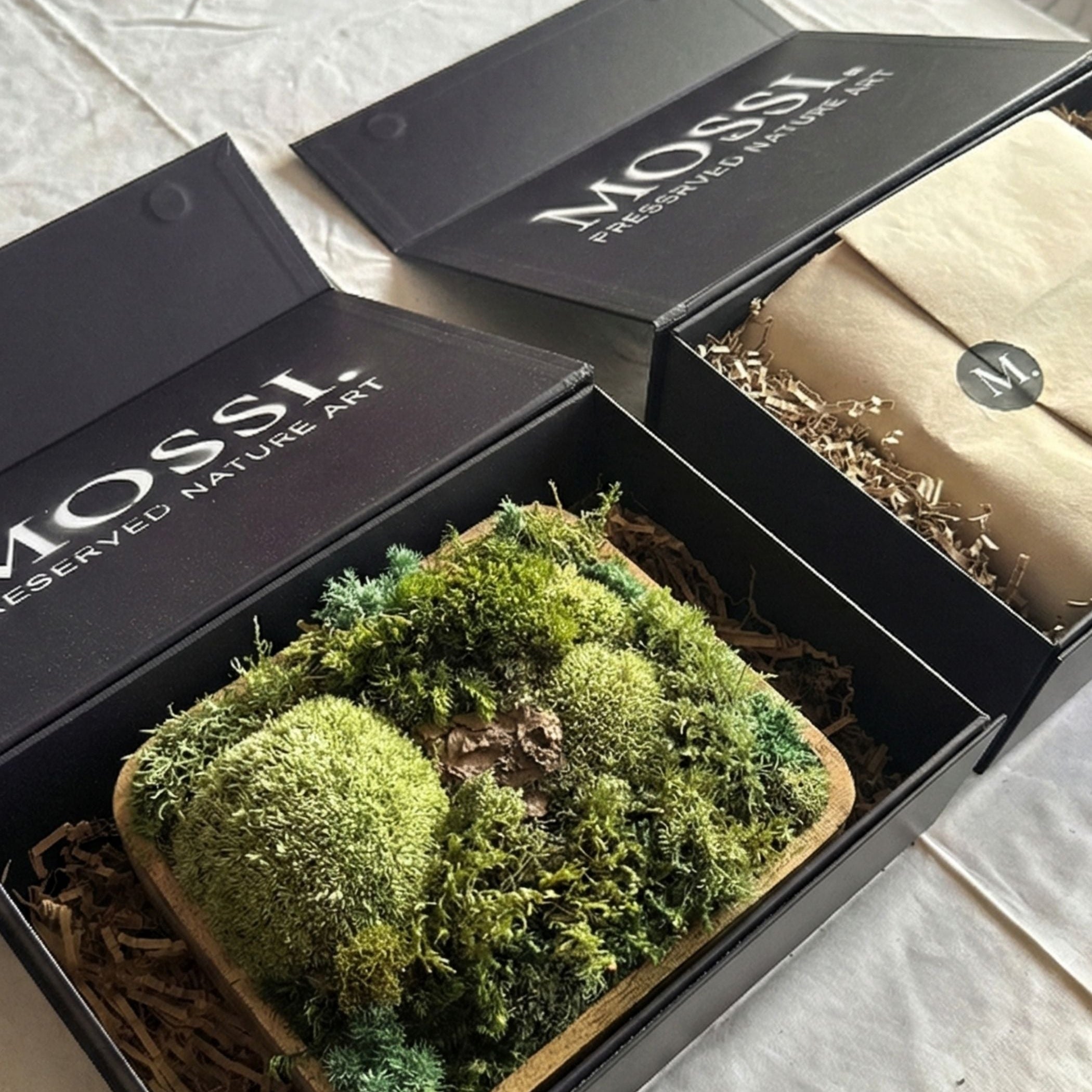 Mossi™ Pocket Forest – Mini Lesní Scéna