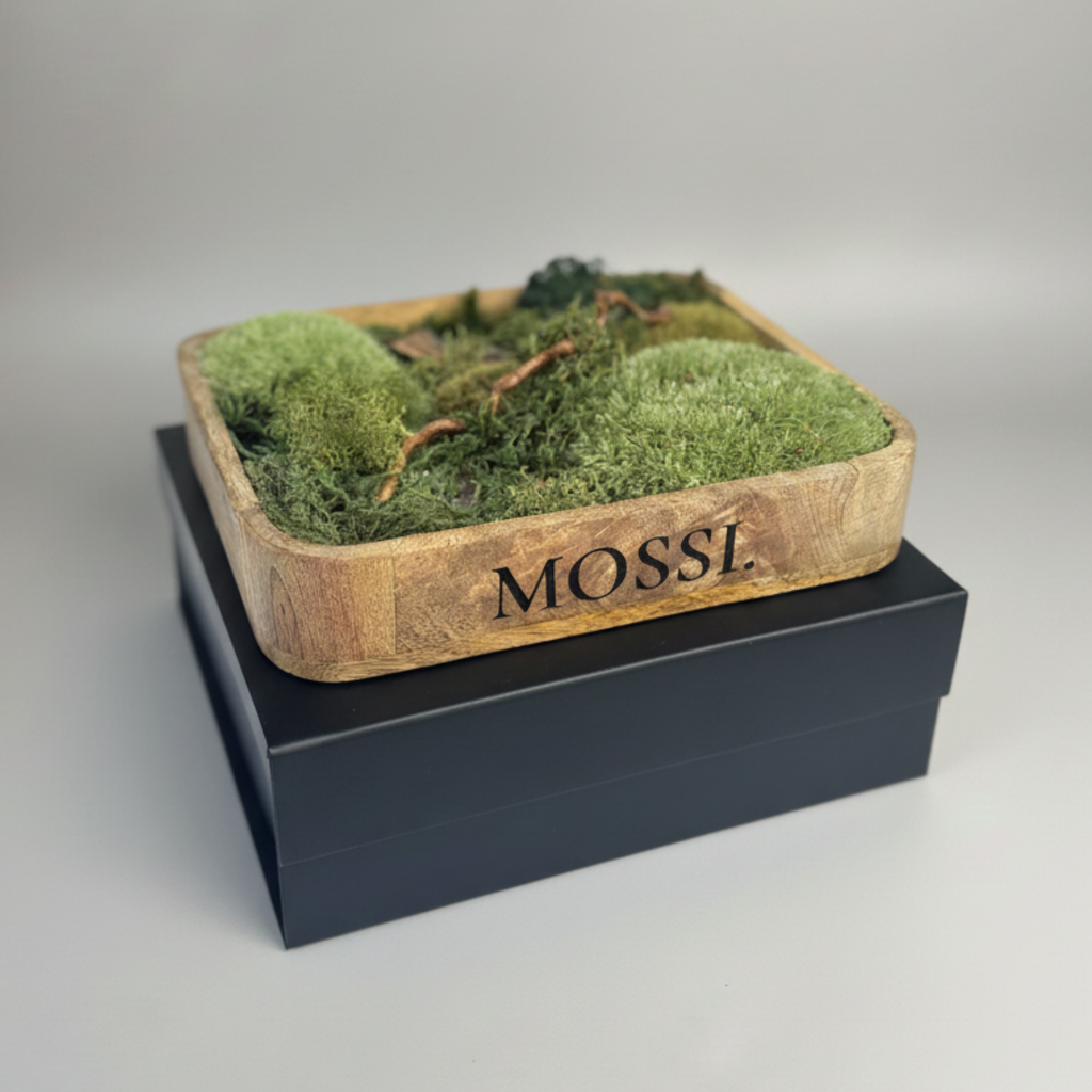Mossi™ Pocket Forest – Mini Lesní Scéna