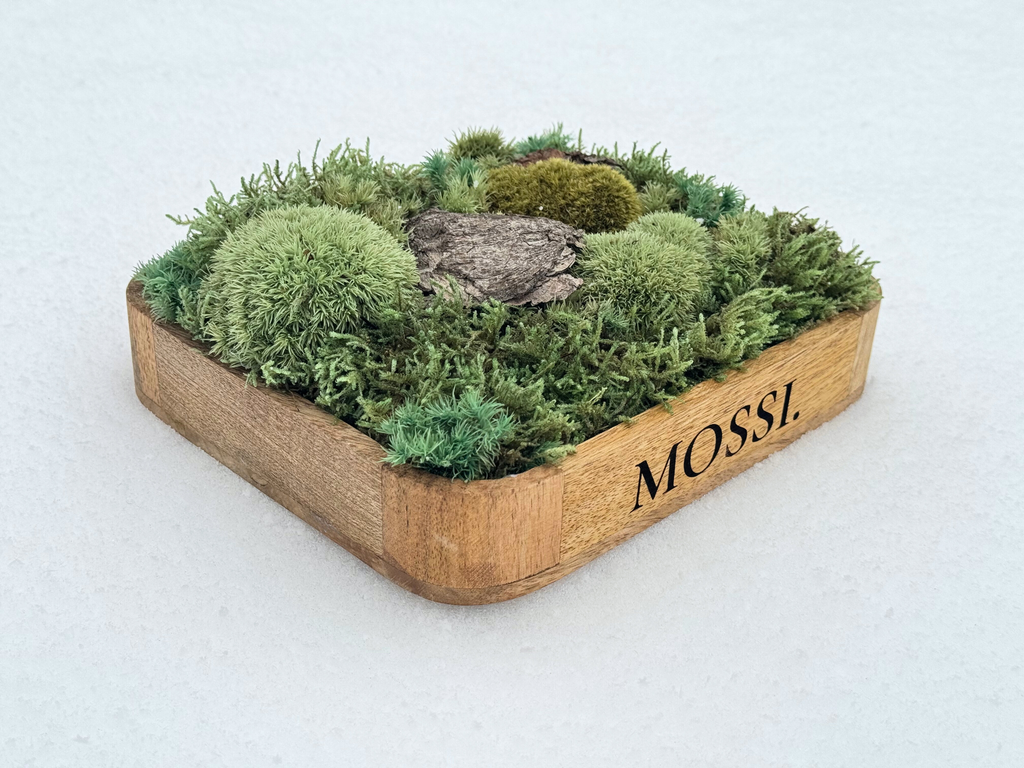 Mossi™ Pocket Forest – Limitovaná Mini Lesní Scéna