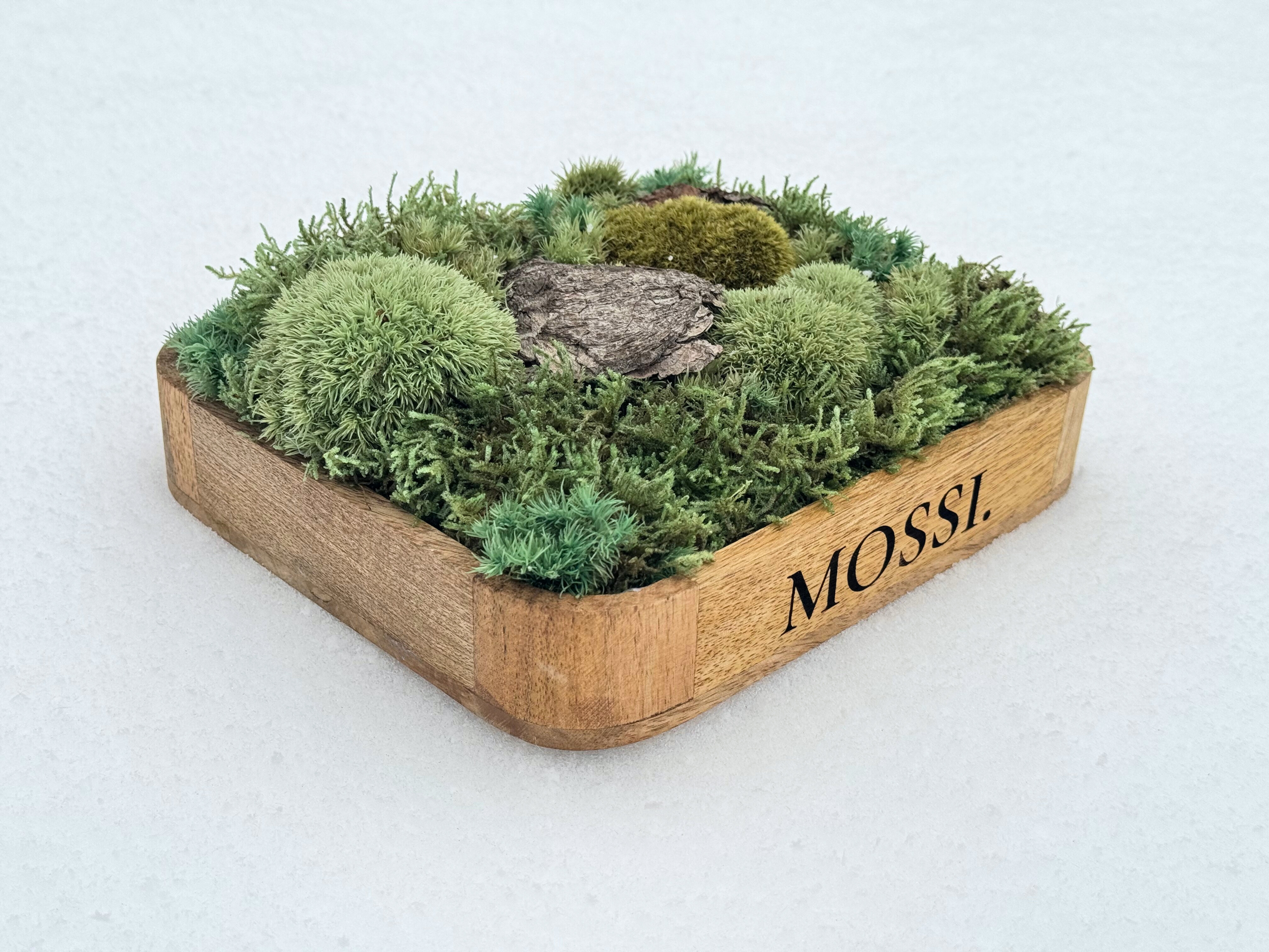 Mossi™ Pocket Forest – Limitovaná Mini Lesní Scéna