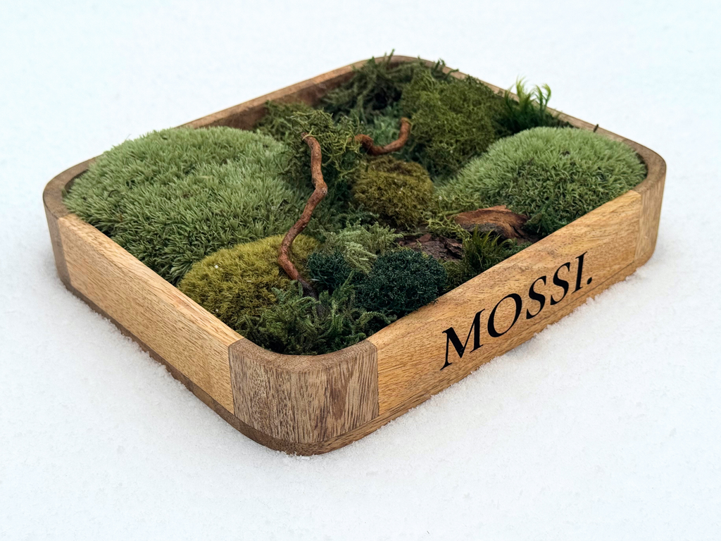 Mossi™ Pocket Forest – Limitovaná Mini Lesní Scéna