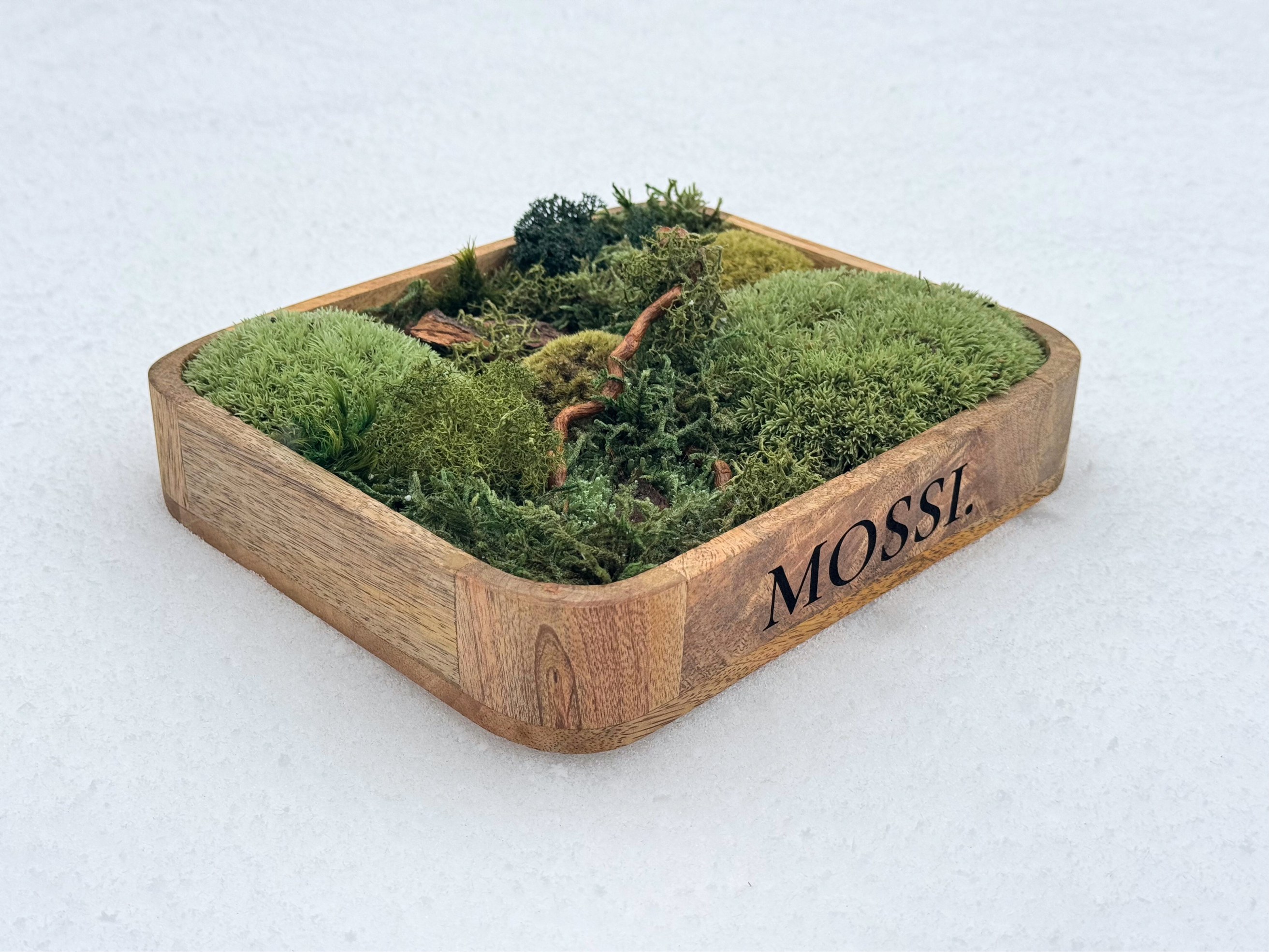 Mossi™ Pocket Forest – Limitovaná Mini Lesní Scéna